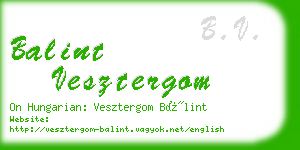 balint vesztergom business card